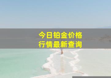 今日铂金价格行情最新查询