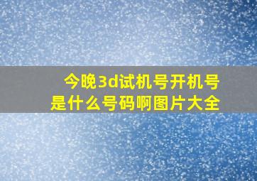 今晚3d试机号开机号是什么号码啊图片大全