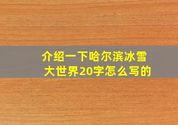 介绍一下哈尔滨冰雪大世界20字怎么写的