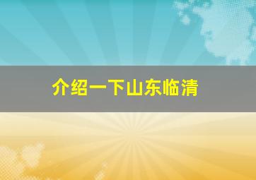 介绍一下山东临清