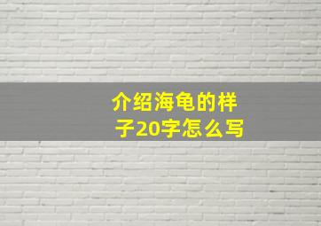 介绍海龟的样子20字怎么写