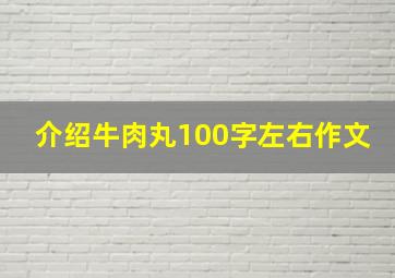 介绍牛肉丸100字左右作文