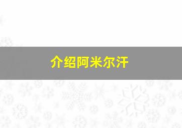 介绍阿米尔汗