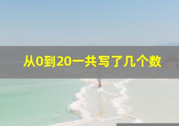 从0到20一共写了几个数