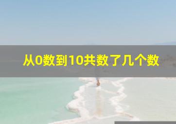 从0数到10共数了几个数