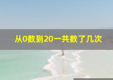 从0数到20一共数了几次