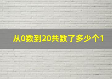 从0数到20共数了多少个1