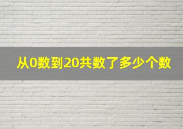 从0数到20共数了多少个数