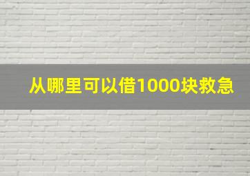 从哪里可以借1000块救急