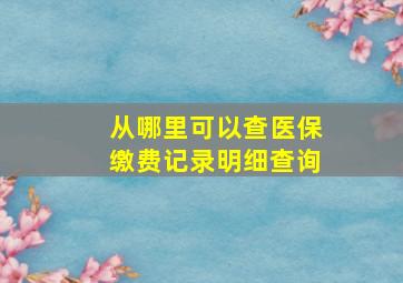 从哪里可以查医保缴费记录明细查询