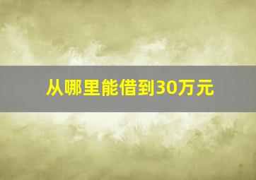 从哪里能借到30万元