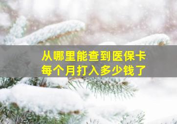 从哪里能查到医保卡每个月打入多少钱了