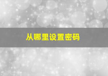 从哪里设置密码