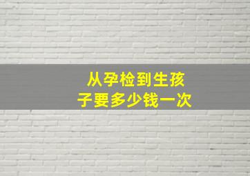 从孕检到生孩子要多少钱一次