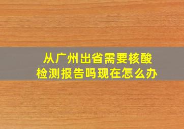 从广州出省需要核酸检测报告吗现在怎么办