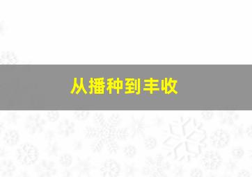 从播种到丰收