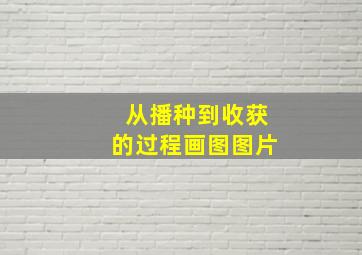 从播种到收获的过程画图图片