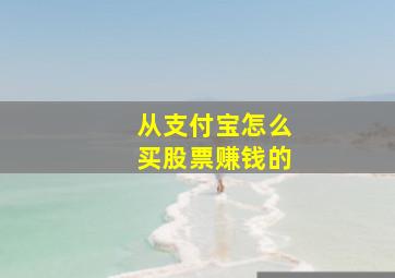 从支付宝怎么买股票赚钱的