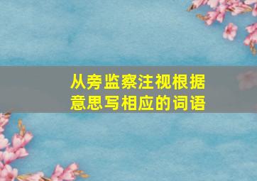 从旁监察注视根据意思写相应的词语