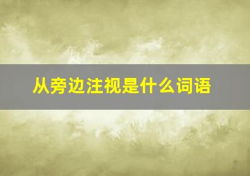 从旁边注视是什么词语