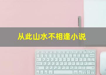 从此山水不相逢小说