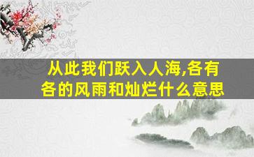 从此我们跃入人海,各有各的风雨和灿烂什么意思