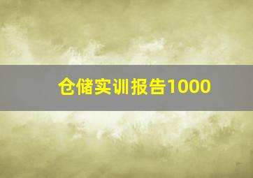 仓储实训报告1000