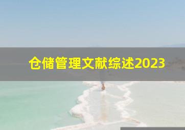 仓储管理文献综述2023