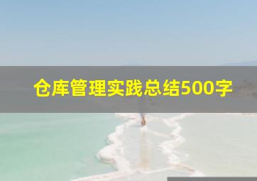 仓库管理实践总结500字