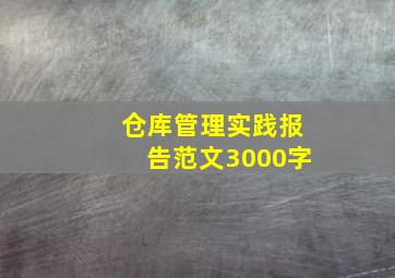 仓库管理实践报告范文3000字