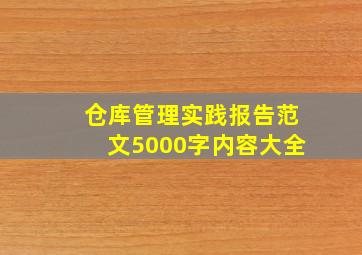 仓库管理实践报告范文5000字内容大全