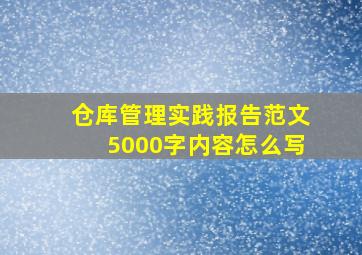 仓库管理实践报告范文5000字内容怎么写