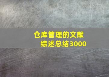 仓库管理的文献综述总结3000