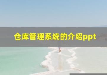 仓库管理系统的介绍ppt