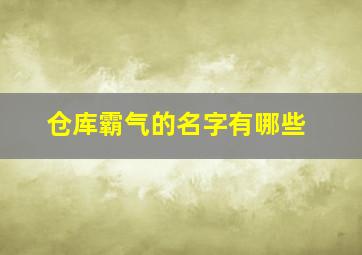 仓库霸气的名字有哪些