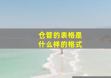 仓管的表格是什么样的格式