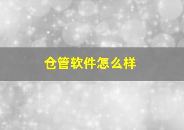 仓管软件怎么样