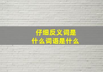 仔细反义词是什么词语是什么