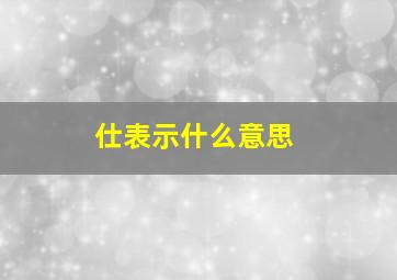 仕表示什么意思