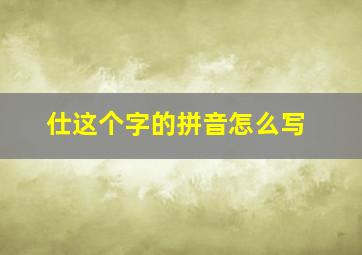 仕这个字的拼音怎么写