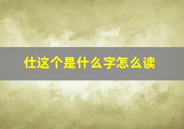 仕这个是什么字怎么读