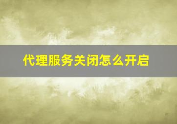 代理服务关闭怎么开启