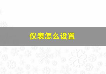 仪表怎么设置