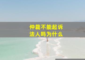 仲裁不能起诉法人吗为什么