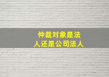 仲裁对象是法人还是公司法人