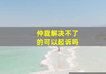 仲裁解决不了的可以起诉吗