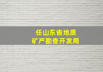 任山东省地质矿产勘查开发局