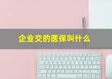 企业交的医保叫什么