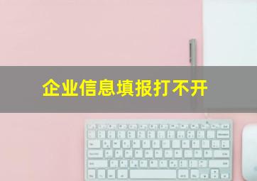 企业信息填报打不开