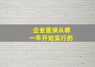 企业医保从哪一年开始实行的